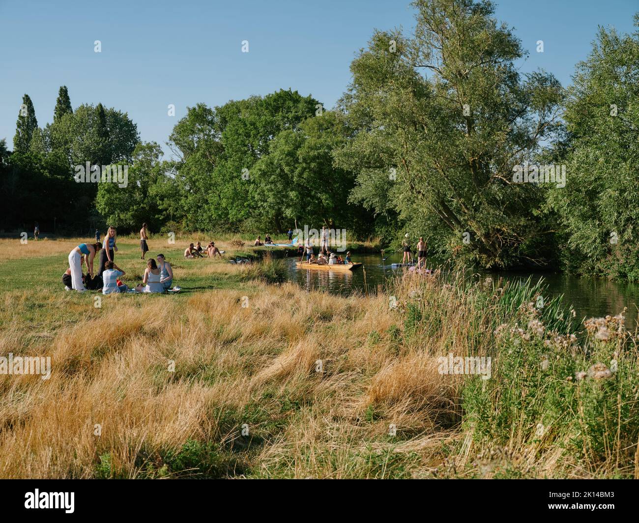 Summer life on Grantchester Meadows on the River Cam in Cambridge Cambridgeshire England UK - summertime countryside people picnic Stock Photo
