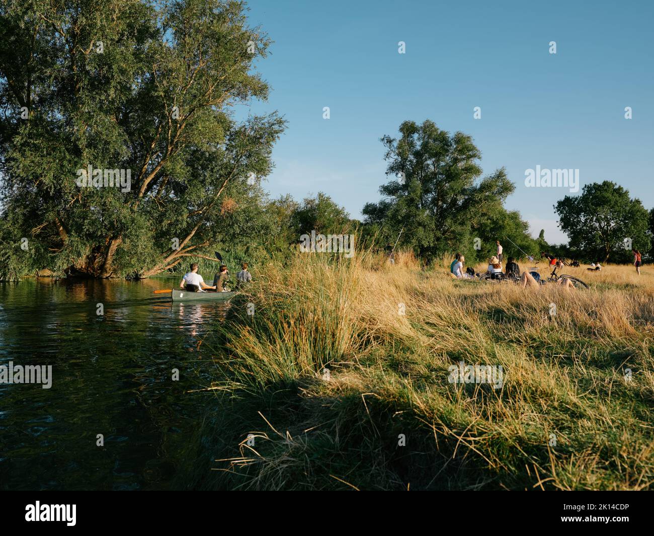 Summer life on Grantchester Meadows on the River Cam in Cambridge Cambridgeshire England UK - summertime countryside people Stock Photo
