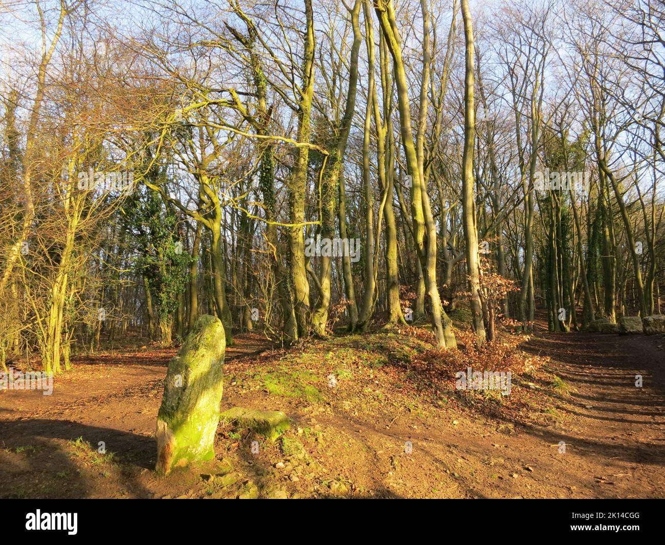 Cotswold Way long distance footpath National Trail. The Cotswolds AONB