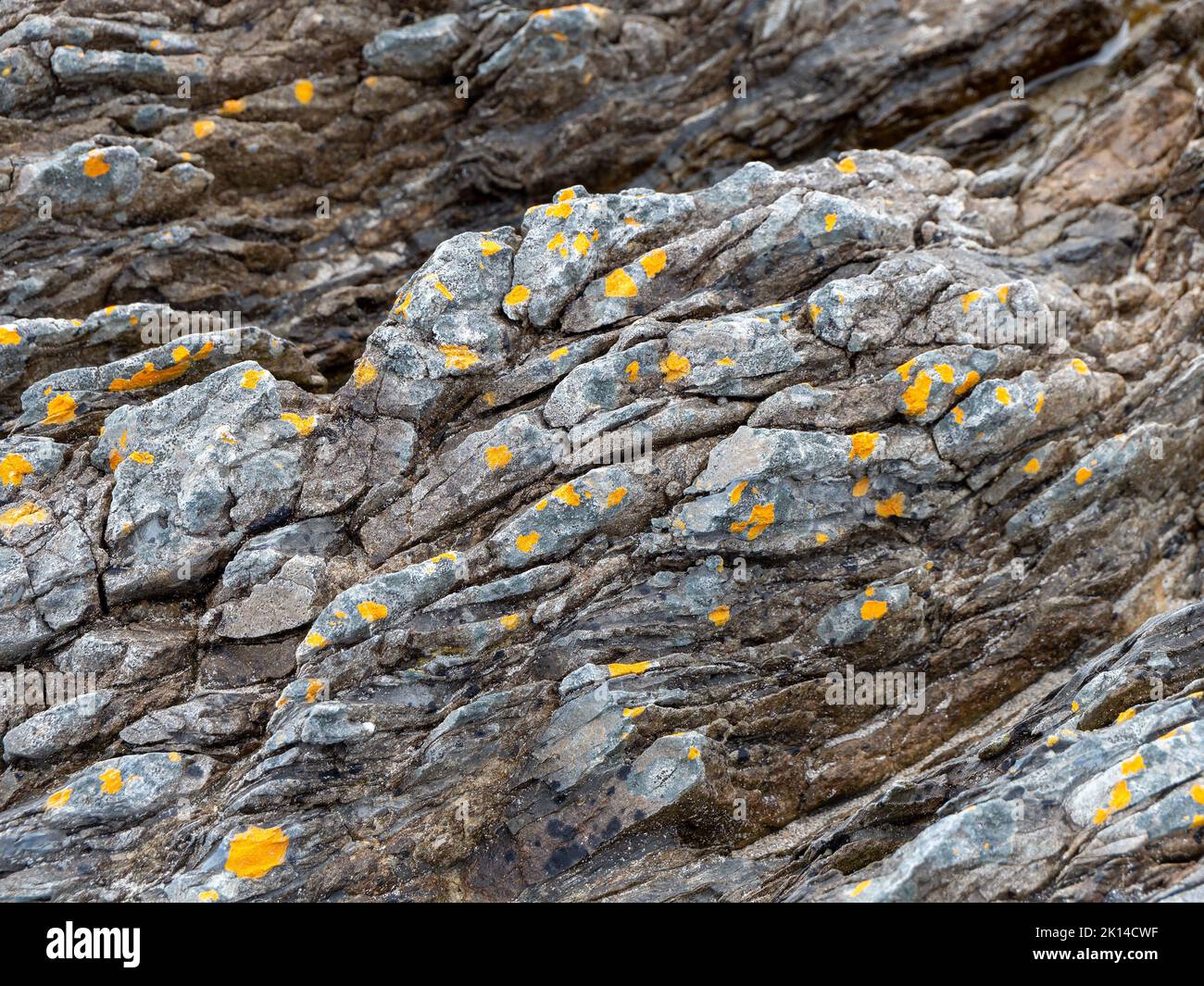 Beautiful rock. Stone close-up. Stone texture, rock formation. Stock Photo