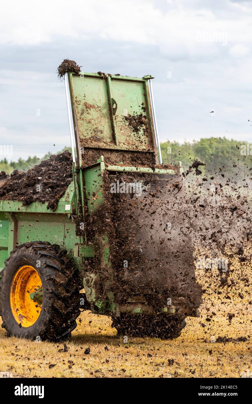 Modern agriculture. Muck spreading prior to ploughing Stock Photo Alamy