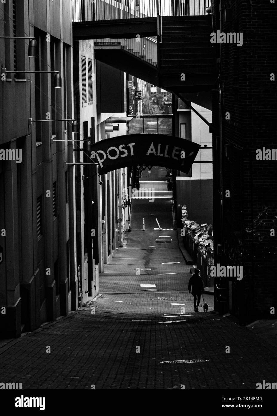 A vertical grayscale of a narrow street with buildings Stock Photo - Alamy