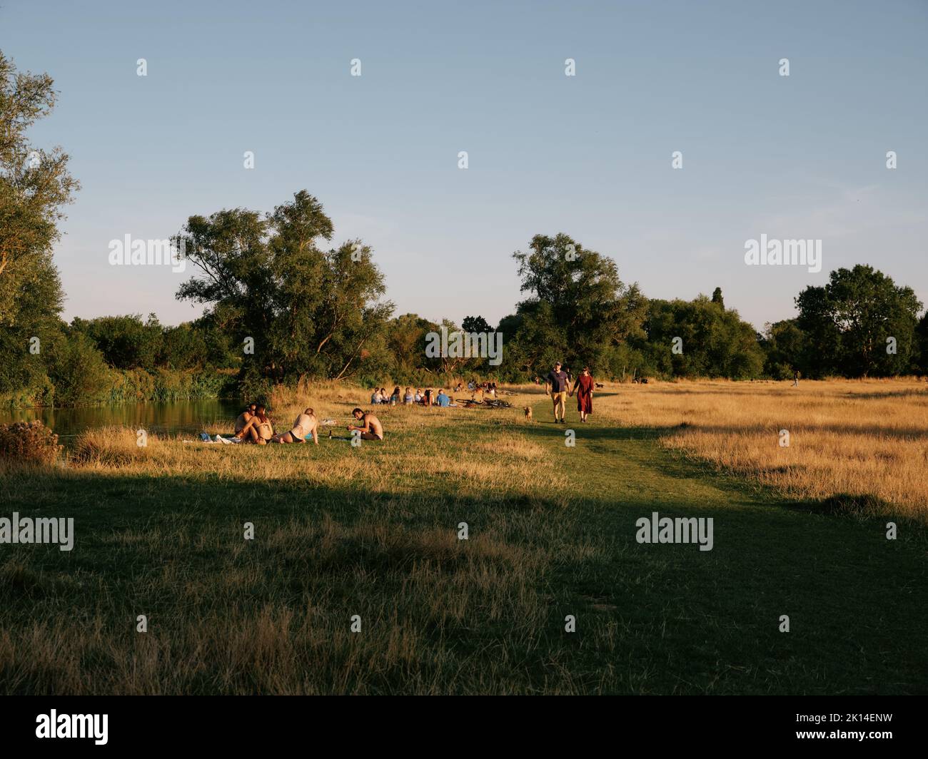 Summer life and evening light on Grantchester Meadows on the River Cam in Cambridge Cambridgeshire England UK - summertime countryside people Stock Photo