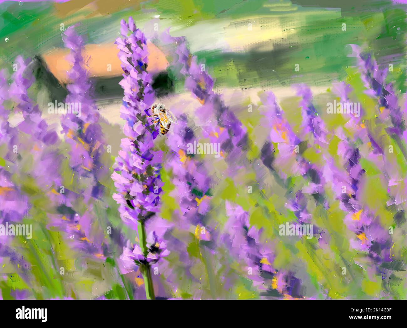 Violet lavender bush blooming in field. Bee pollinates the lavender flowers. Oil painting on canvas. Impressionism style art Stock Photo