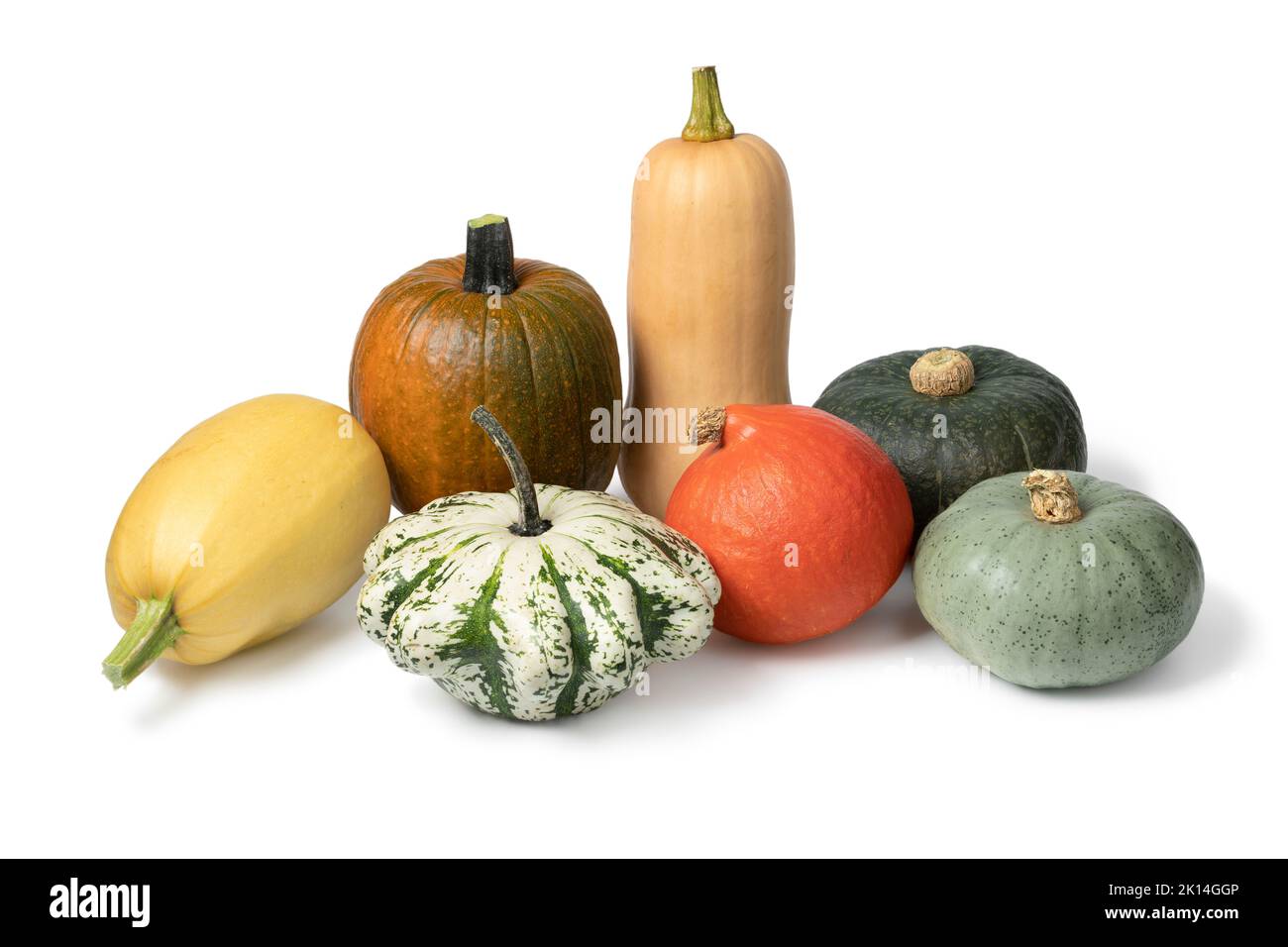 Variation of autumn pumpkins on white background isolated on white background Stock Photo
