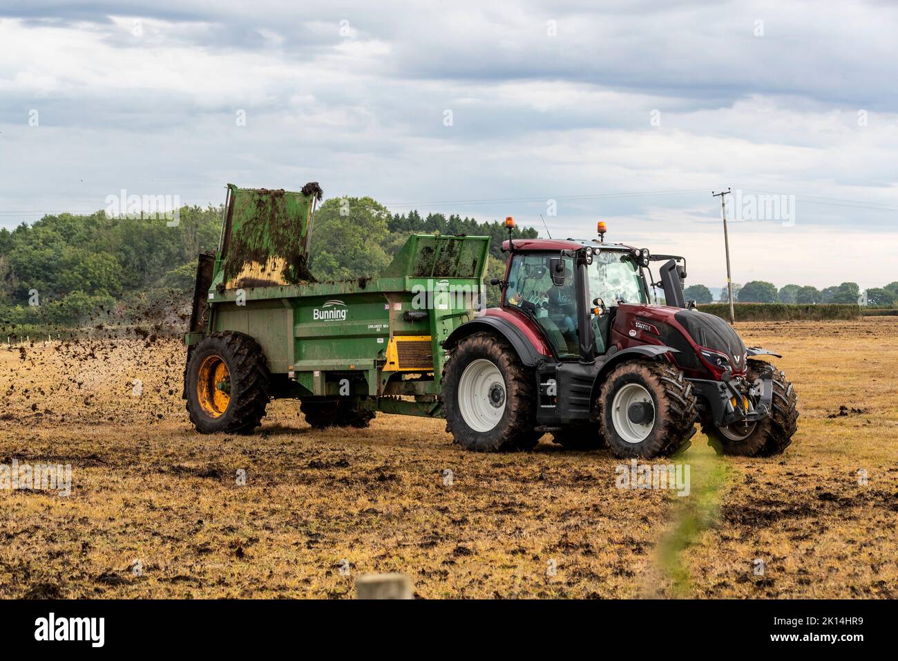 Modern agriculture. Muck spreading prior to ploughing. Stock Photo