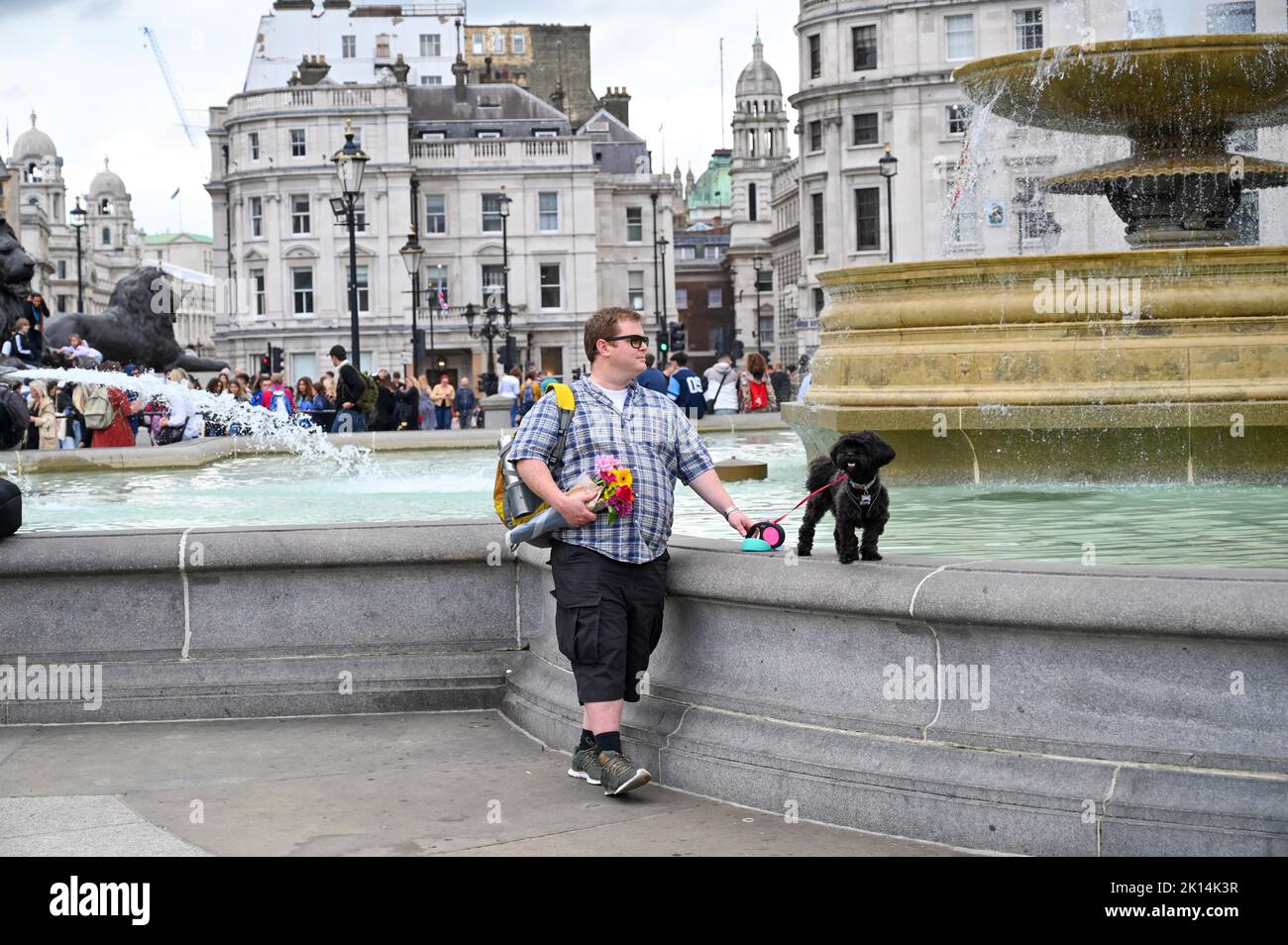 Trafalgar Square London UK - Man with flowers and a dog in the square  Photograph taken by Simon Dack Stock Photo