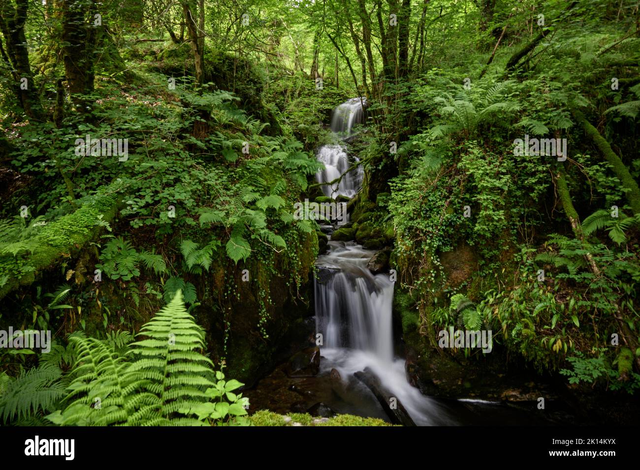 Fairy Bridge of Glen Creran, Scotland Stock Photo