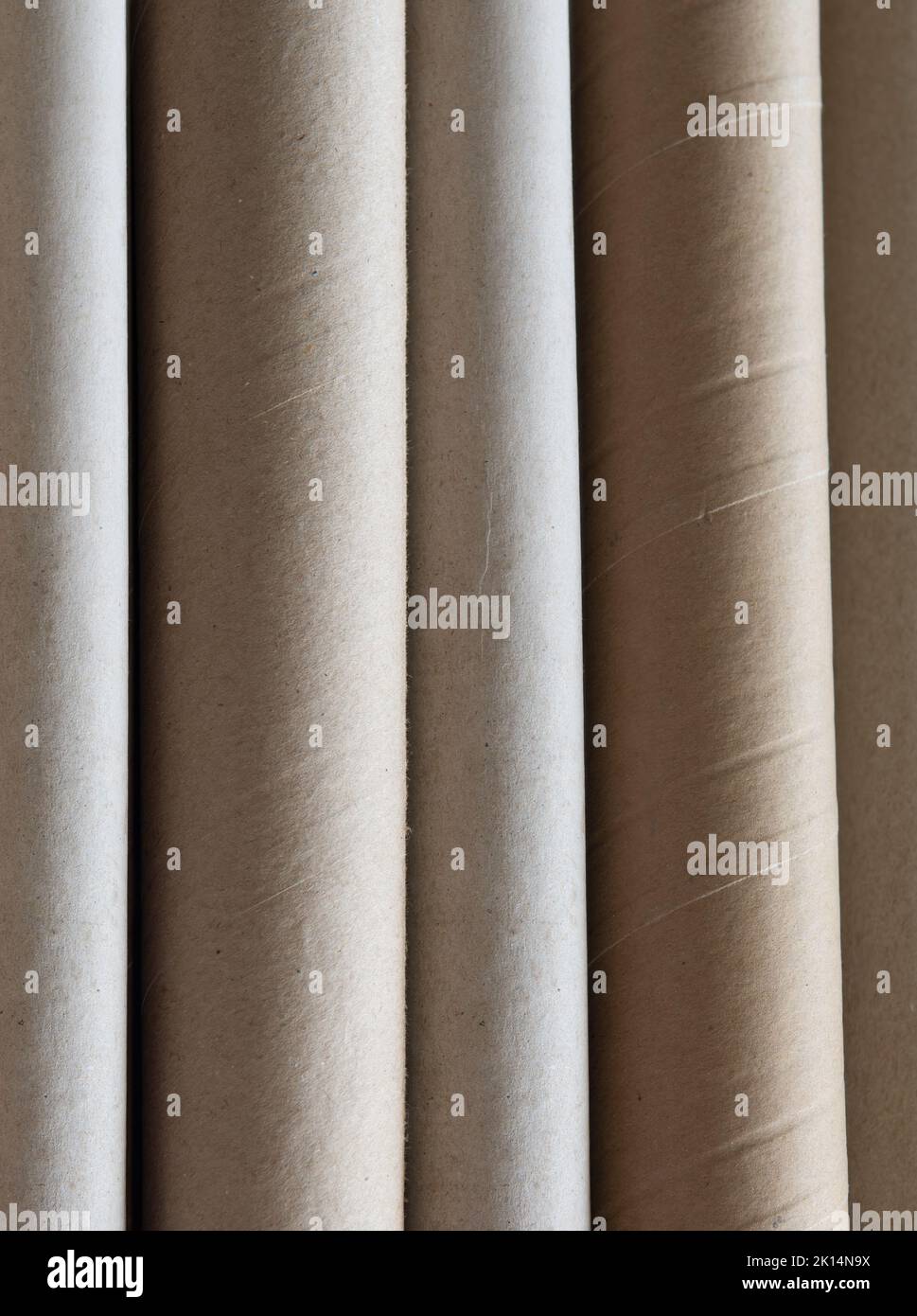 Vertical view of large Cardboard Tubing Stock Photo