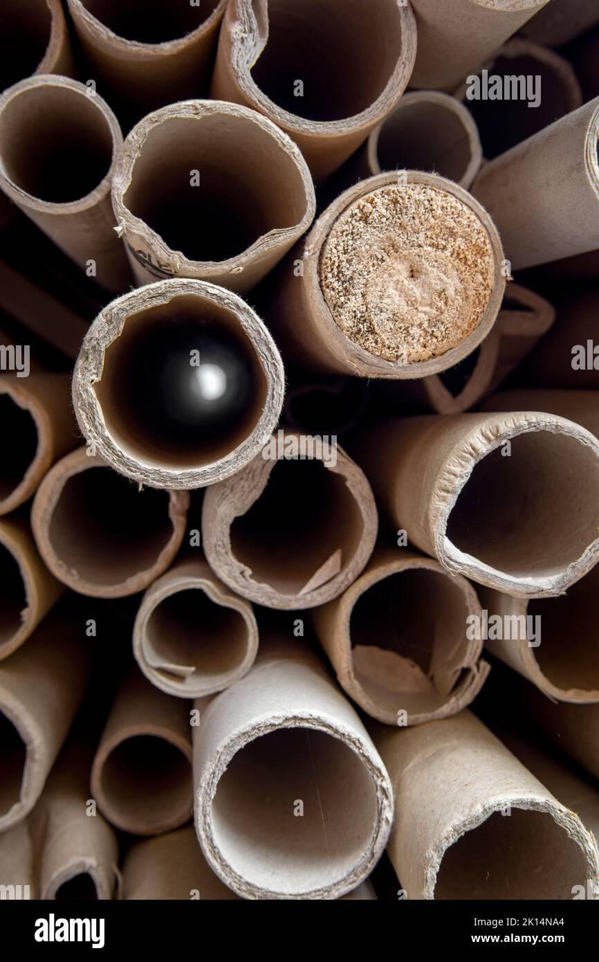 Ends of Large Cardboard Tubing, one of which is showing light at the end, concept of light at the end of the tunnel Stock Photo
