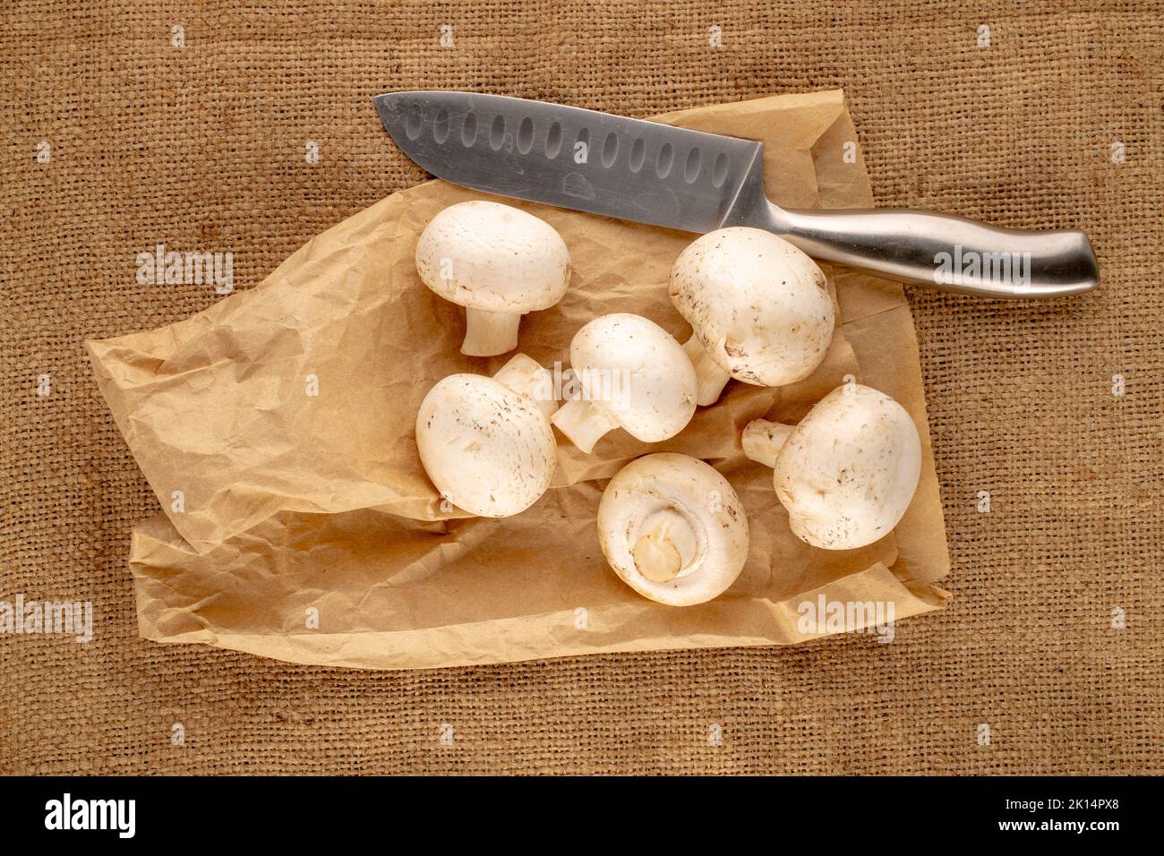 Several aromatic organic mushrooms with paper bag and knife on jute cloth, close-up, top view. Stock Photo