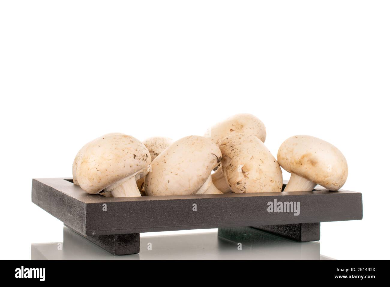 Several fresh mushrooms on a wooden tray, close-up, isolated on a white background. Stock Photo