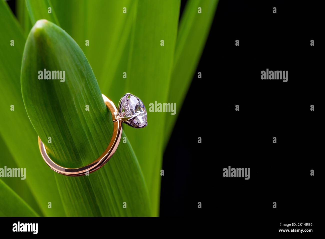 Engagement Diamond Ring on Green Hyacinth Leaves Stock Photo