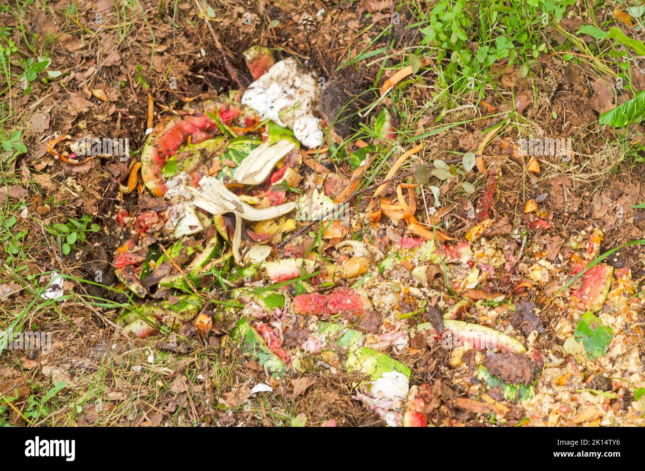 Composting pile of rotting kitchen fruits and vegetable scraps stacked in a pit on the ground