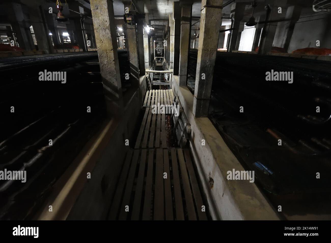 Refrigerated area of a potato cold storage. West Bengal, India Stock