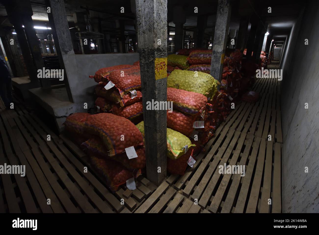 Potatoes are preserved in a refrigerated area of a potato cold storage