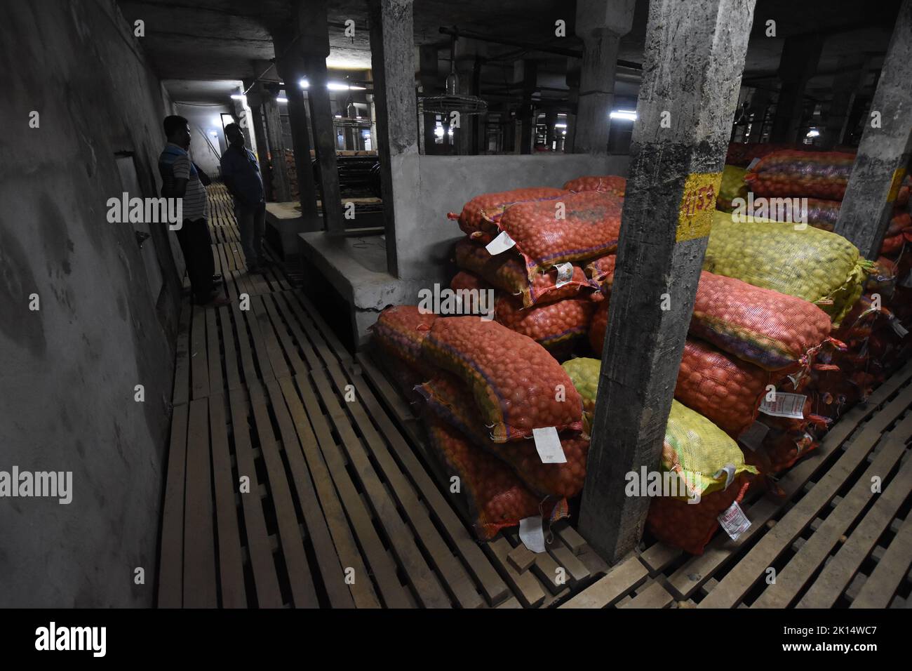 potatoes-are-preserved-in-a-refrigerated-area-of-a-potato-cold-storage