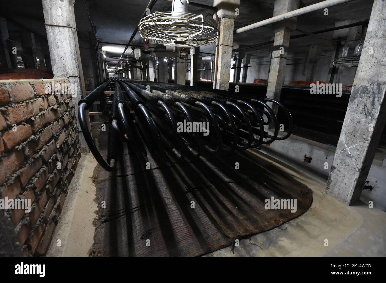 Evaporator unit with fans in refrigerated area of a potato cold storage