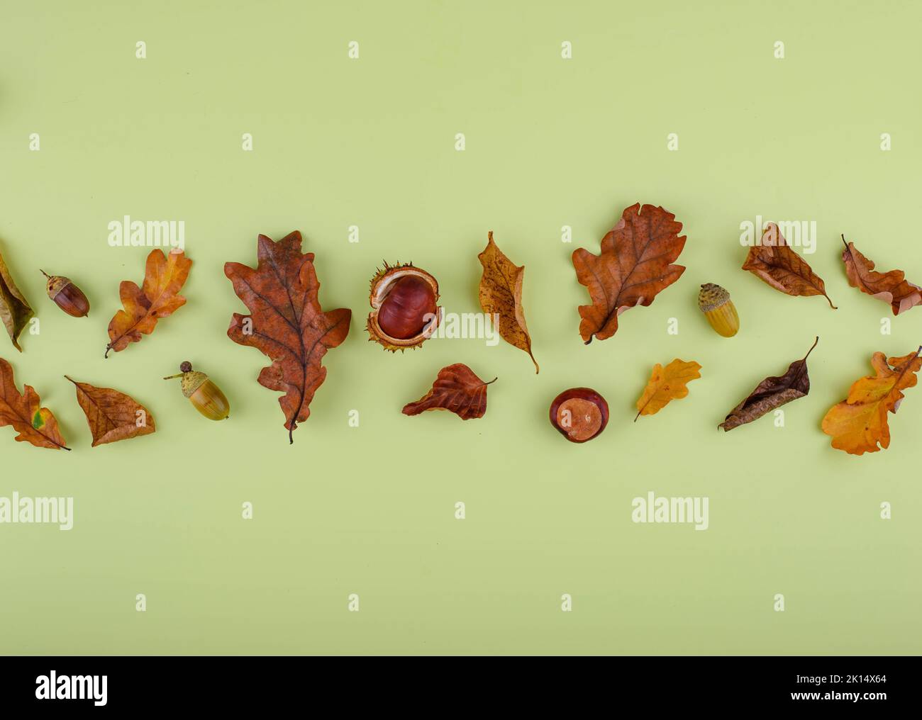 Autumn background with dry leaves Stock Photo - Alamy