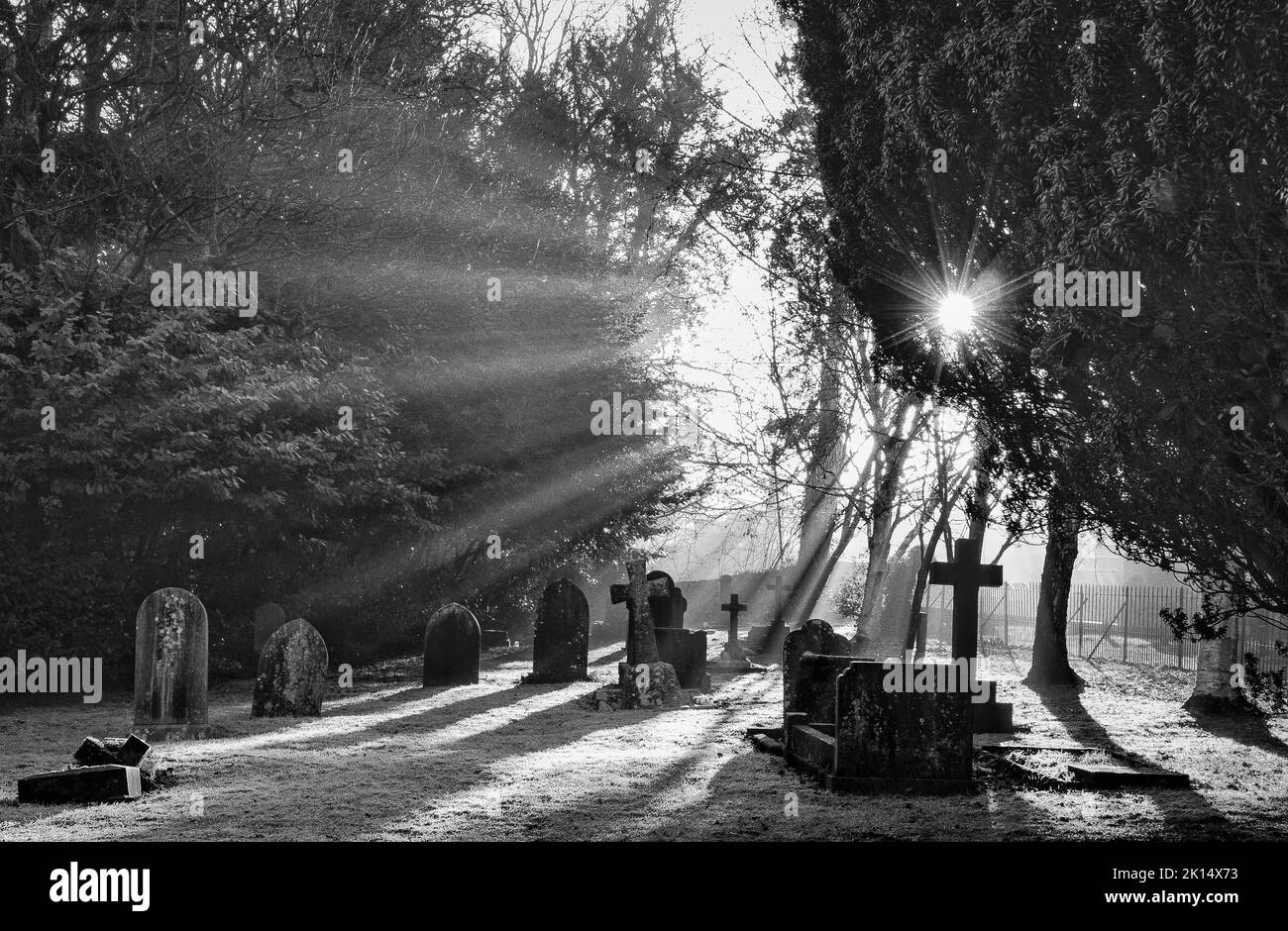 Cemetery/Graveyard at a misty dawn, Llandaff Cathedral, Wales Stock Photo