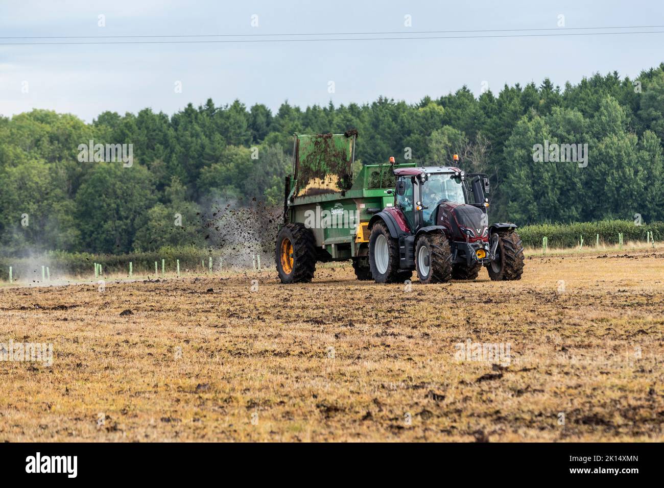 Modern agriculture. Muck spreading prior to ploughing Stock Photo Alamy
