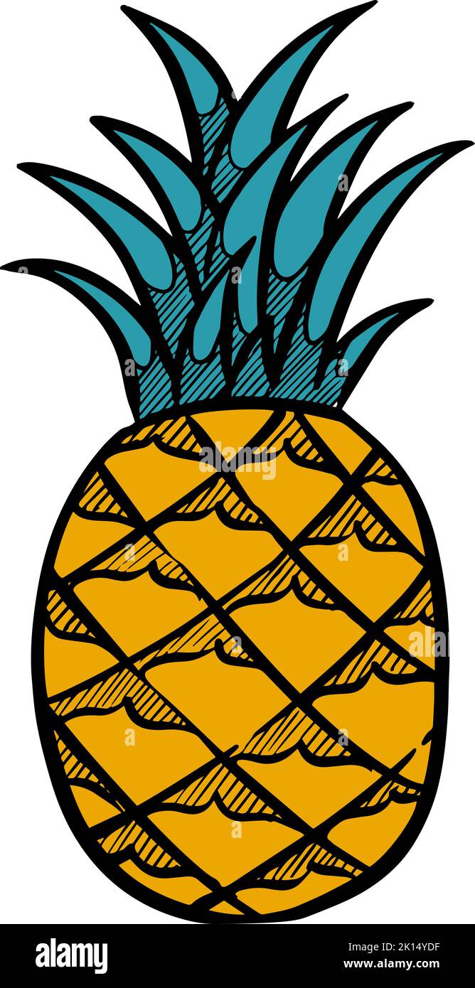 Color hand drawn pineapple Stock Vector Image & Art - Alamy