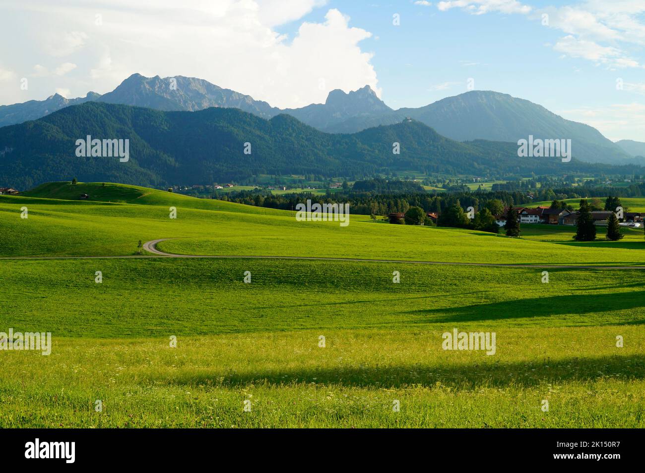 scenic, sunlit, lush green alpine meadows of the Allgaeu region in Bavaria with the Alps in the background Stock Photo