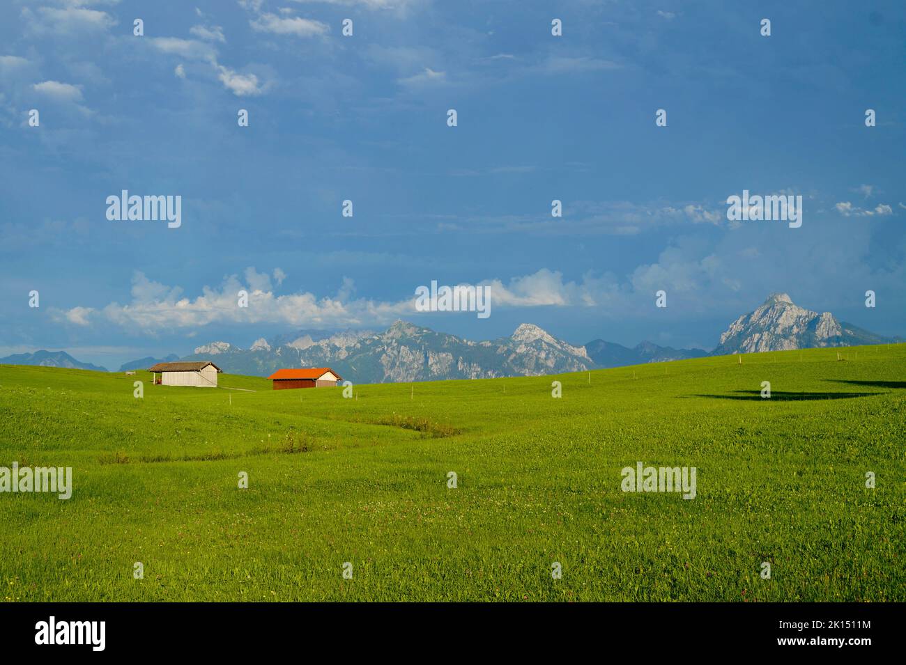 scenic, sunlit, lush green alpine meadows of the Allgaeu region in Bavaria with the Alps in the background Stock Photo