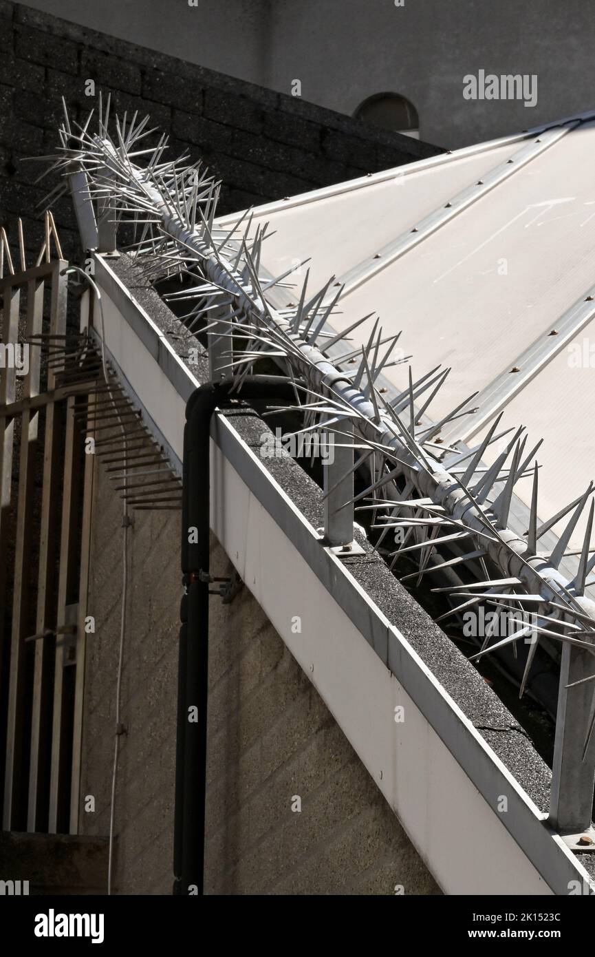 Sharp metal spikes on a metal pole secured to the top of a fence as a