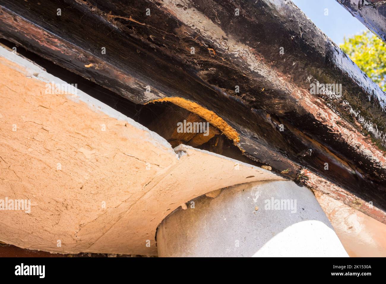 A poorly maintained lath and plaster soffit which has sagged allowing access and further damage by rodents. Stock Photo