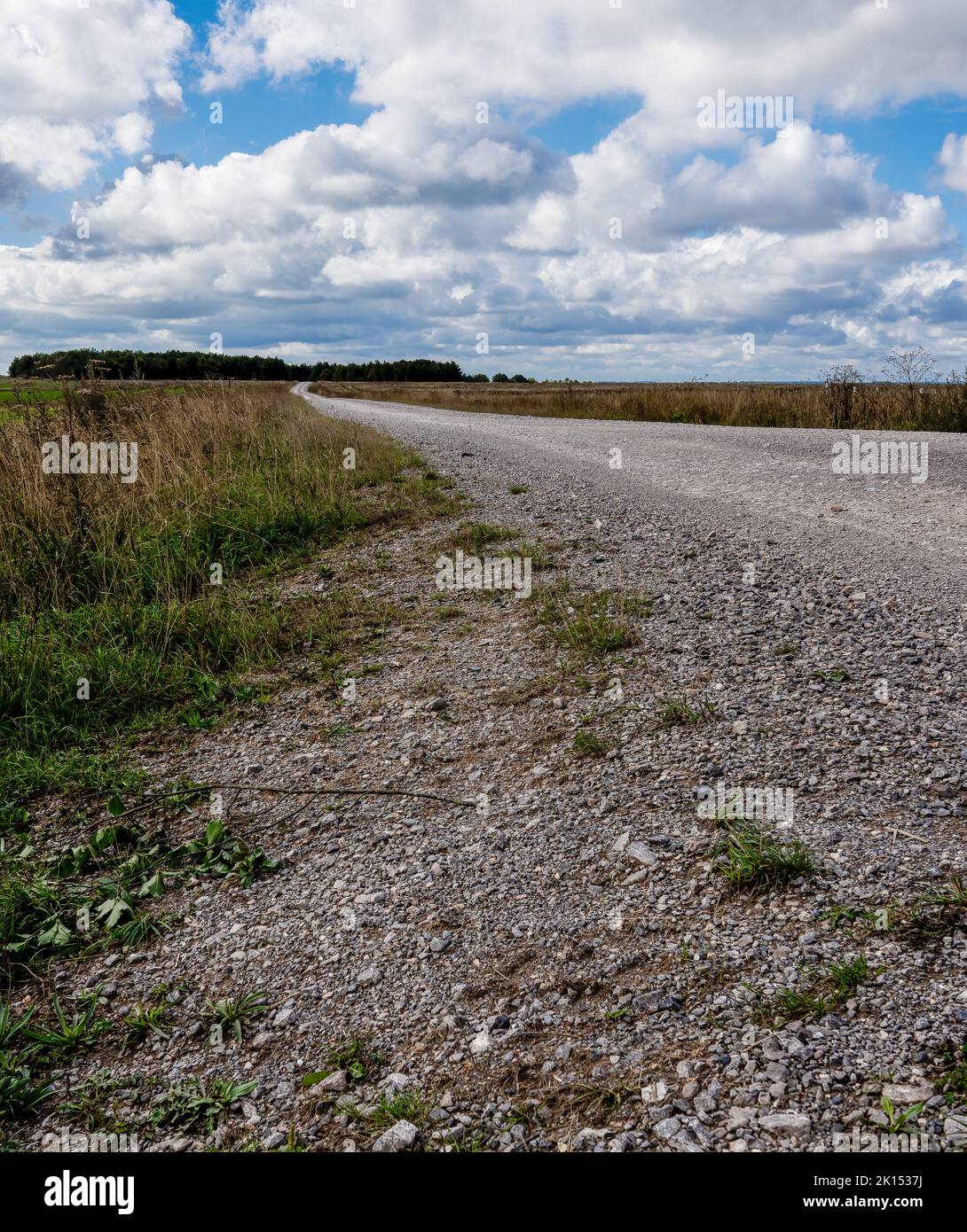 long gravel and stone track through meadows and disappears in to distant woodland Stock Photo