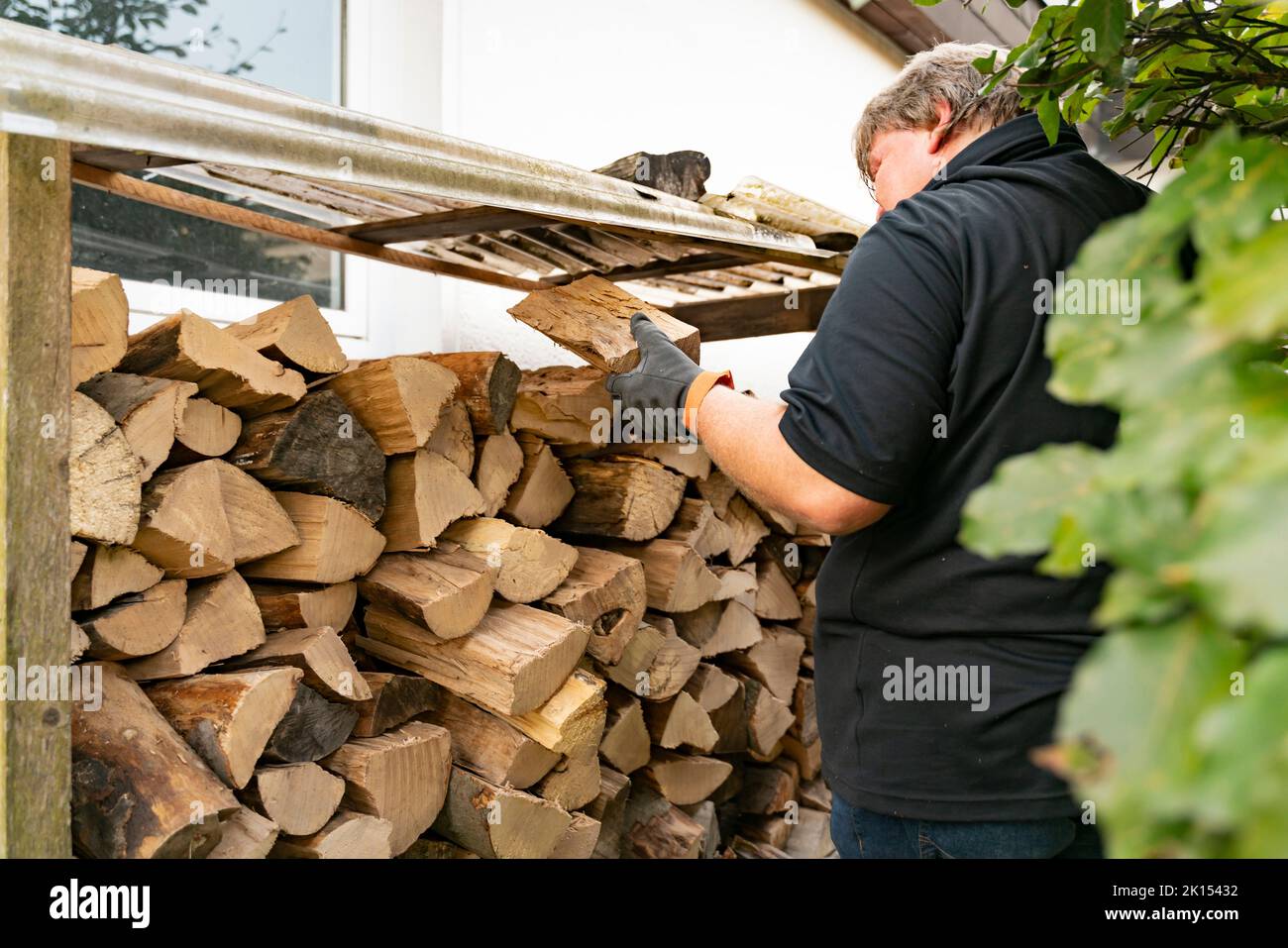 A 50 year old man has received a delivery of firewood and is putting the beech logs into the firewood rack. Outside the house, the rack is equipped wi Stock Photo