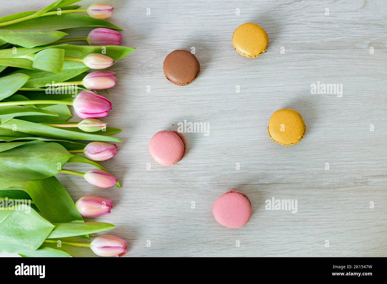 Tulips with pink flowers in front of white wood. Colorful delicious macarons in front of white wood. Top view photographed from above. Stock Photo