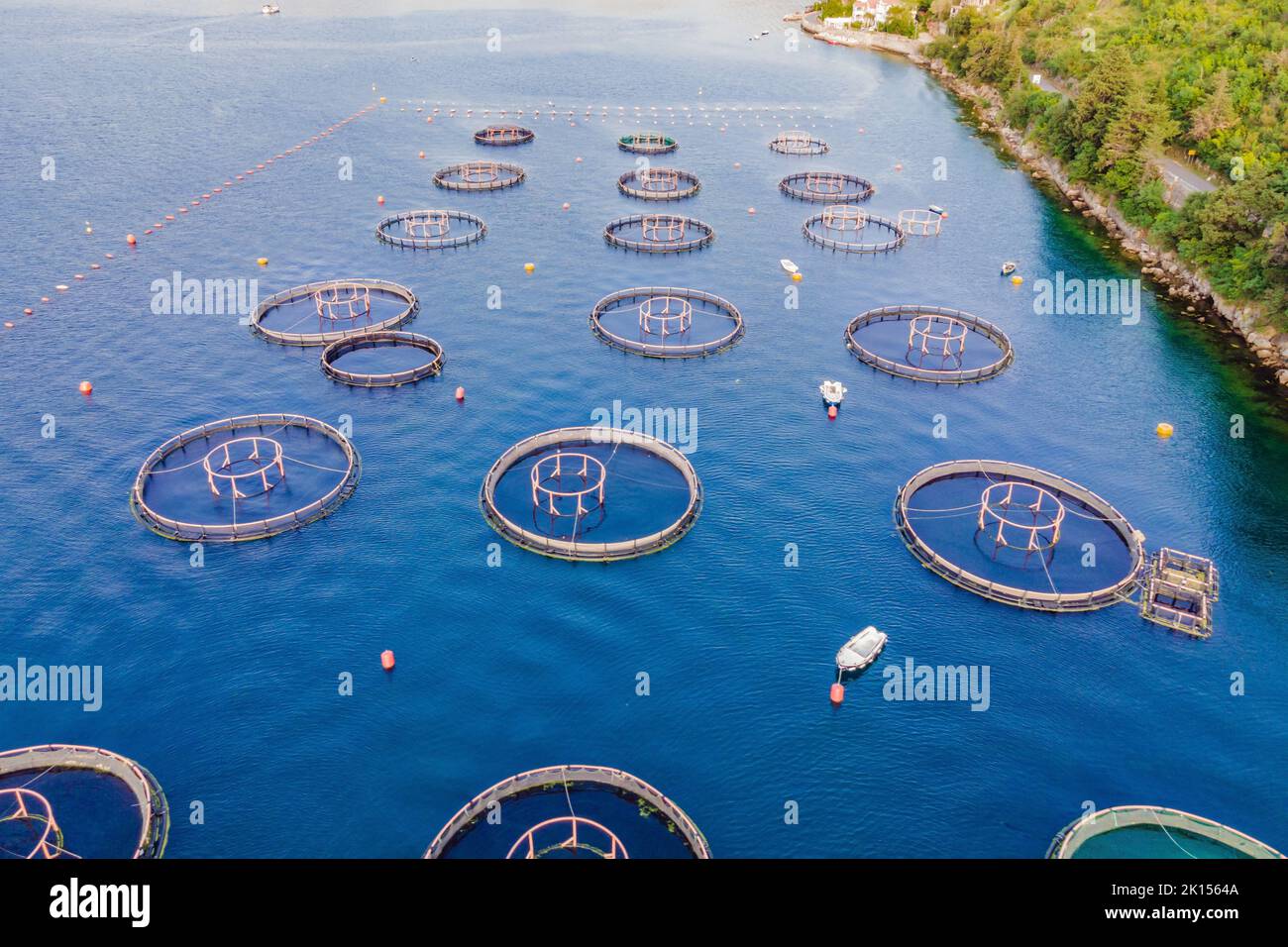 Oyster farm in the Mediterranean. Montenegro, Kotor Stock Photo Alamy