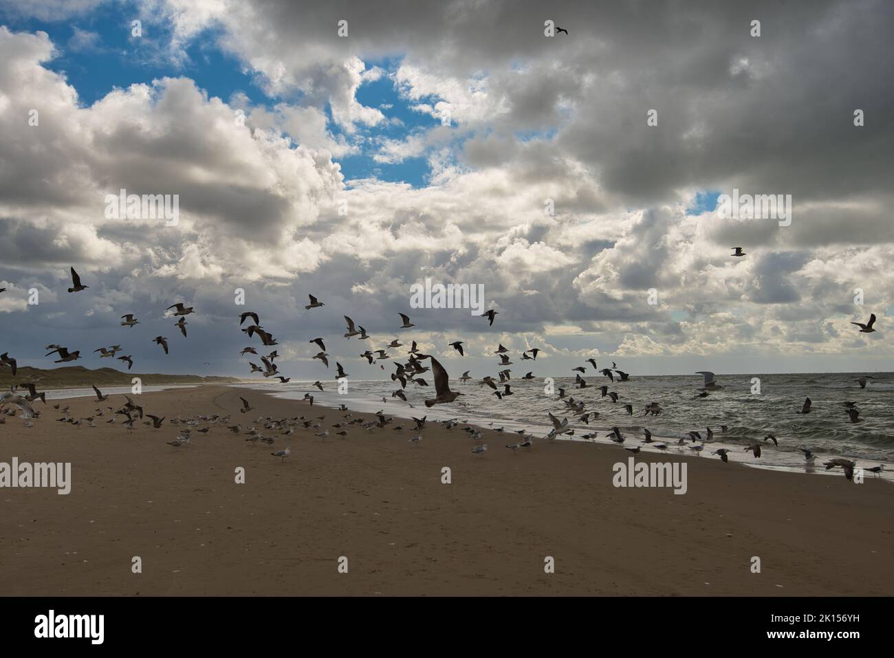 Beach at Camperduin in the North of Netherlands Stock Photo - Alamy