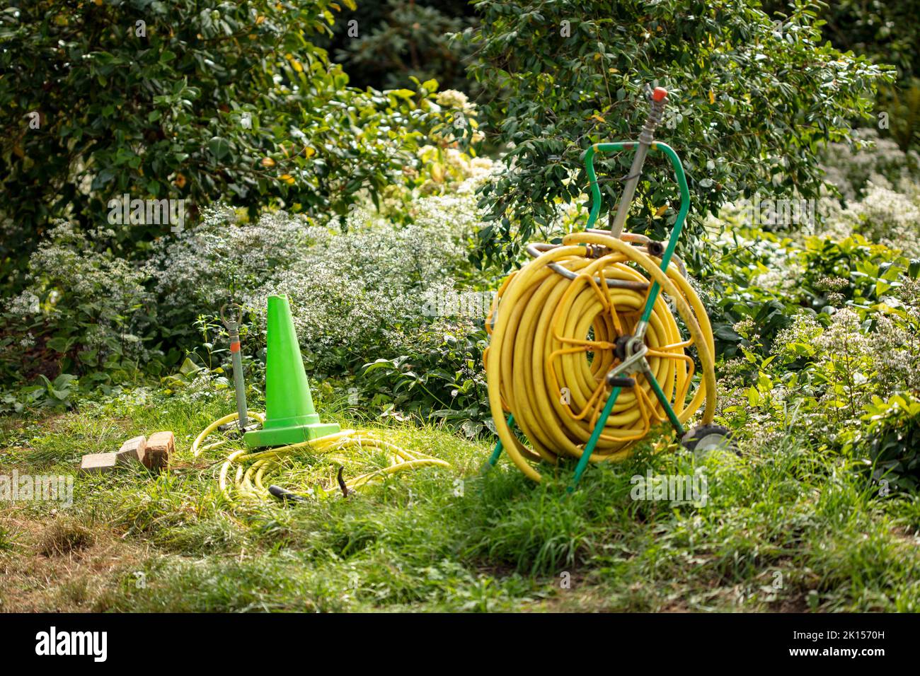 https://c8.alamy.com/comp/2K1570H/yellow-hose-and-hose-reel-in-natural-garden-setting-2K1570H.jpg