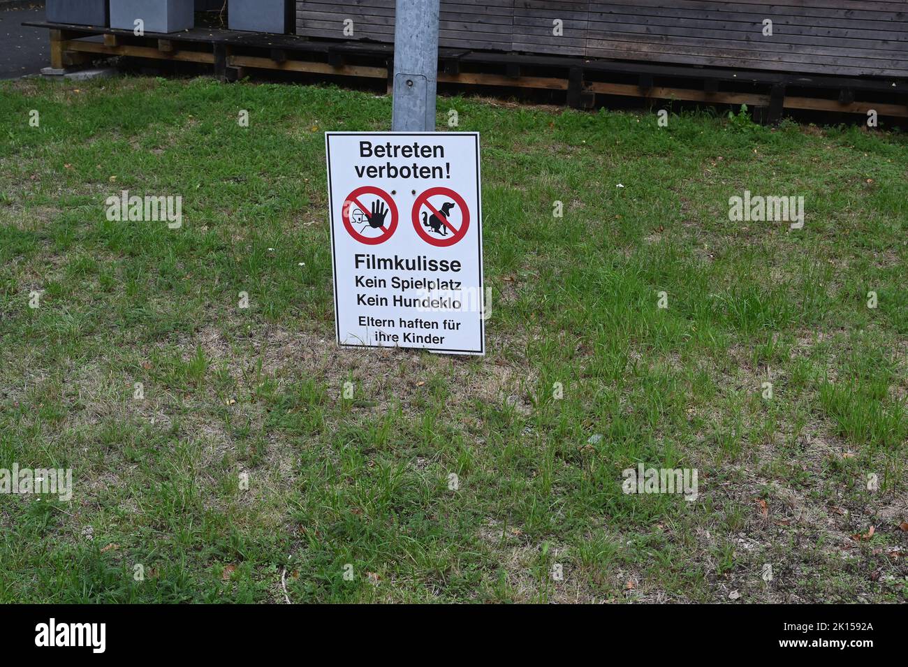 Here is no dog litter box hi-res stock photography and images - Alamy
