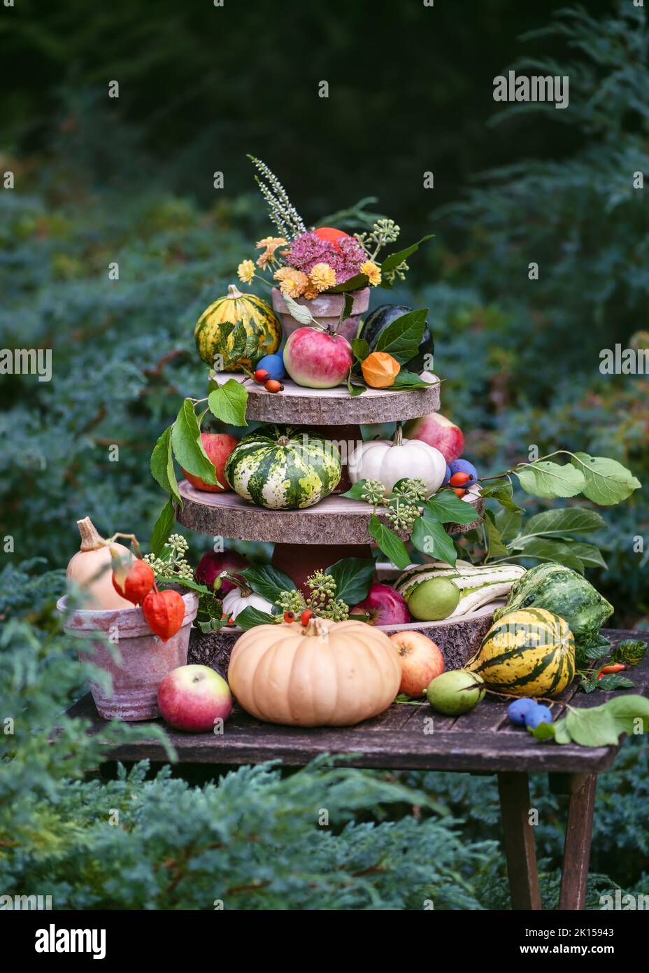 Beautiful autumn garden decoration with colorful squash, pumpkins, apples, plums, nuts and flowers on the wooden etagere. Stock Photo