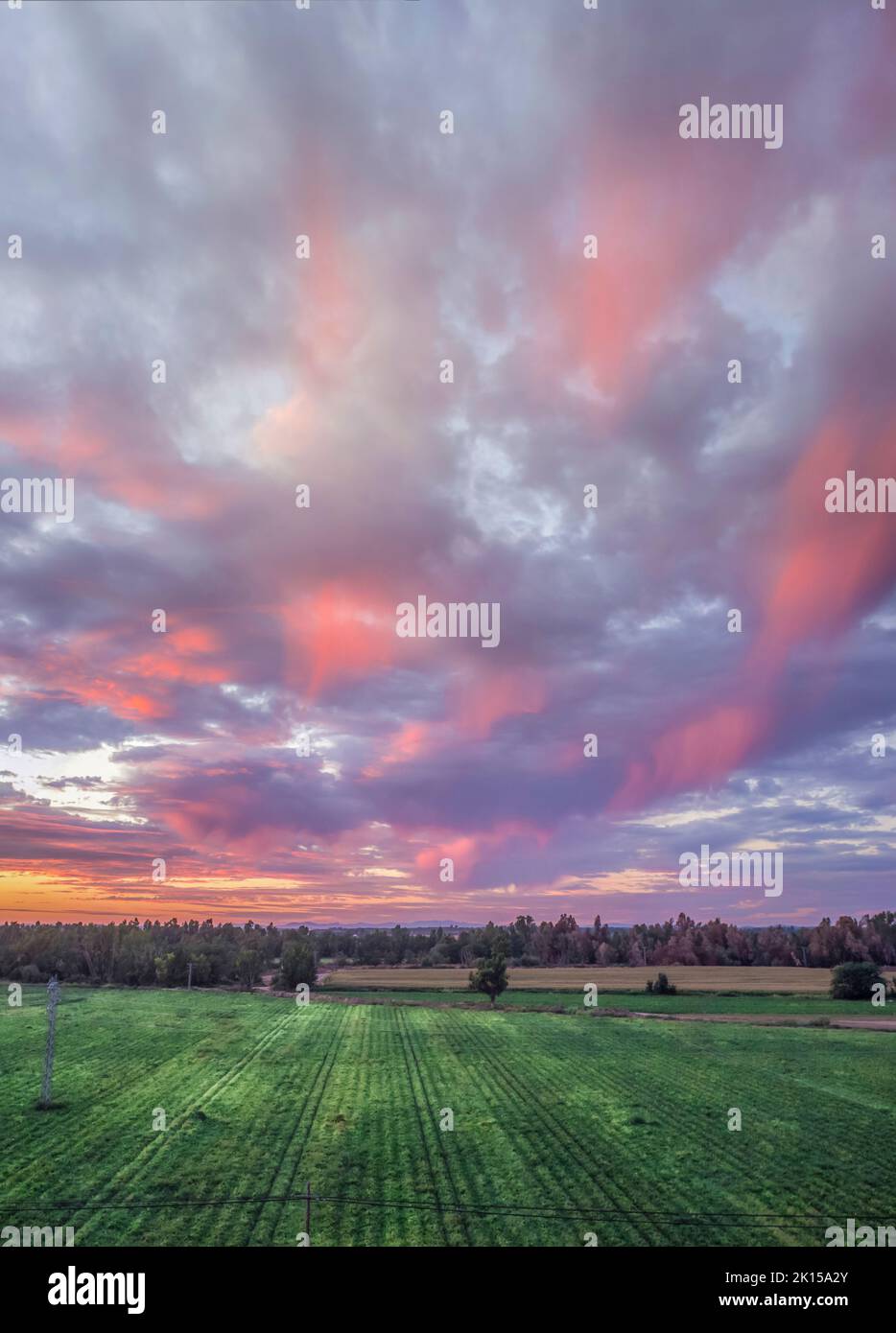 Afterglow clouds over tomato field. Vegas Bajas del Guadiana, Badajoz, Spain Stock Photo
