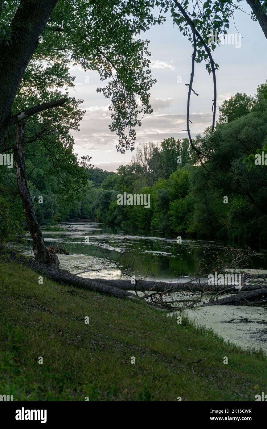 A vertical shot of green forest with a river under blue sky in Chlaba ...