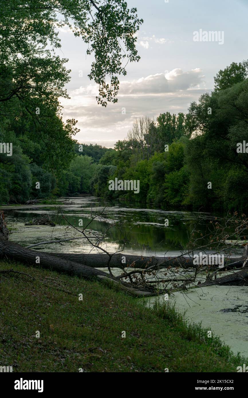 A vertical shot of green forest with a river under blue sky in Chlaba ...