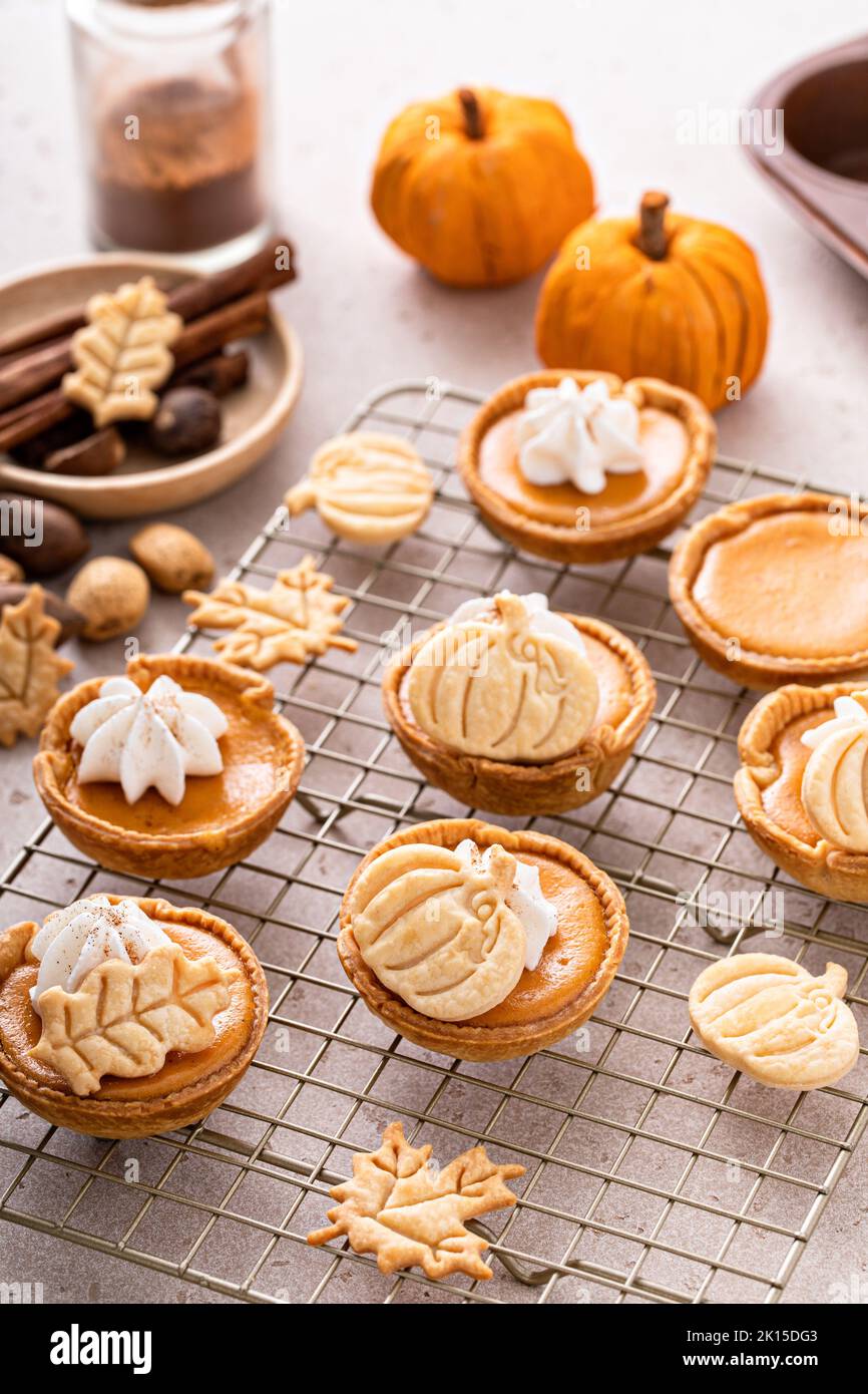 Mini pumpkin pies with wipped cream and cinnamon Stock Photo