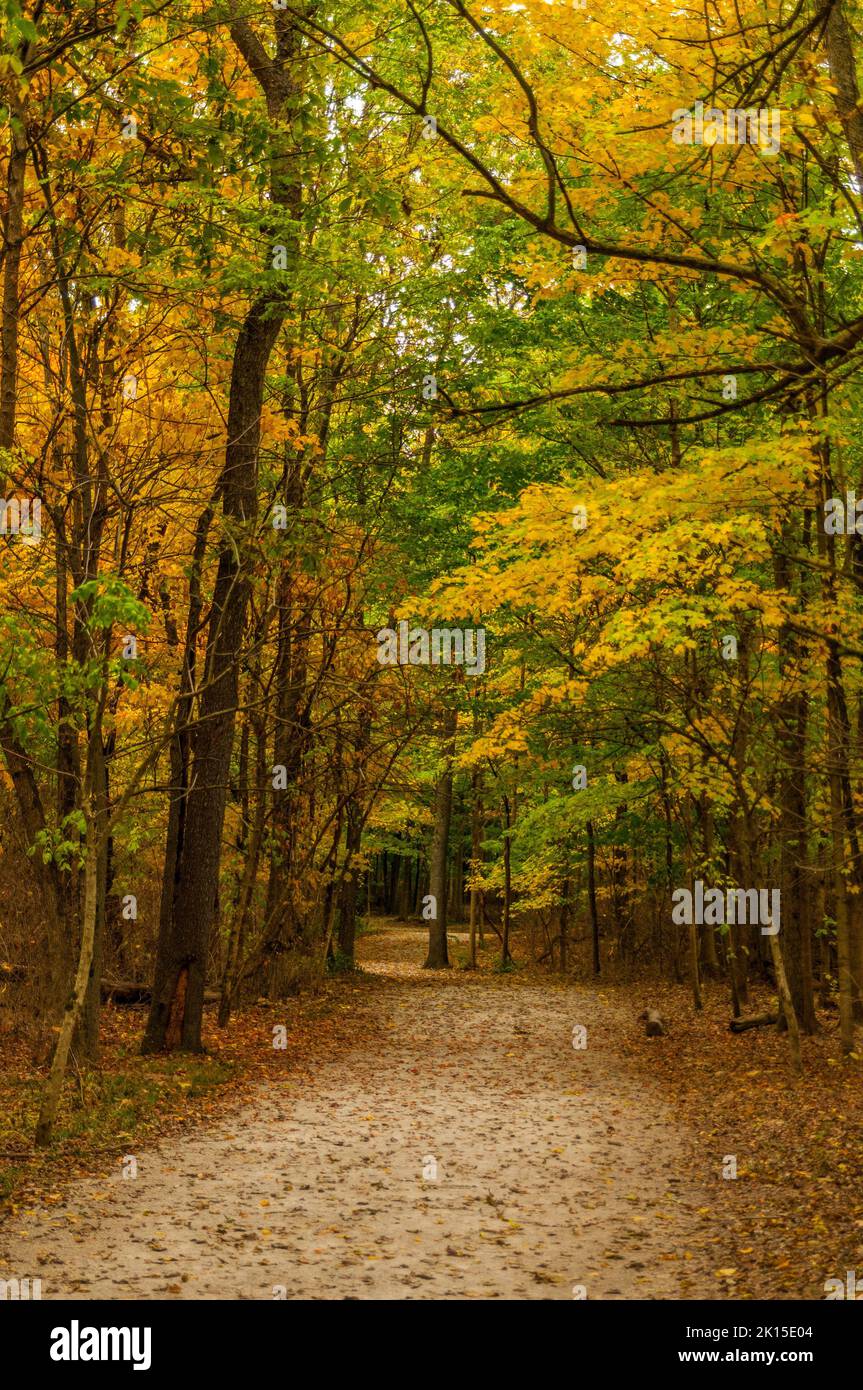 Vertical shot beautiful pathway hi-res stock photography and images - Alamy
