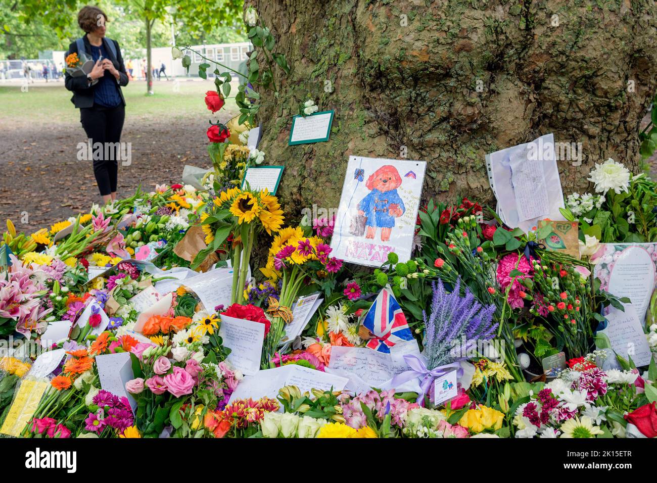 Queen Elizabeth floral tributes- People are pictured as they view the flowers and paddington bear cards that have been left in Green Park, London Stock Photo