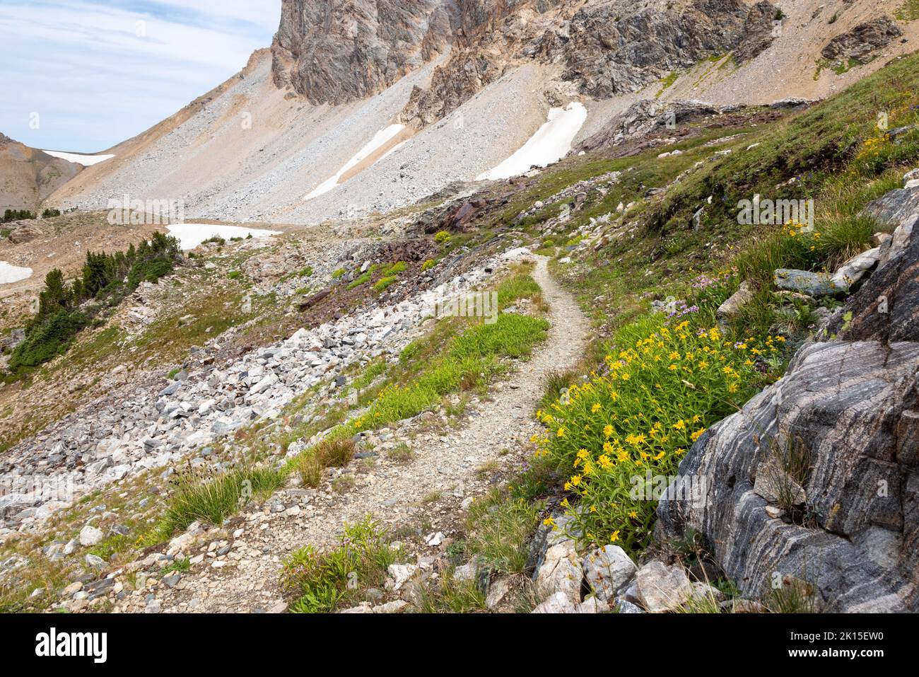 The Alaska Basin Trail winding past wildflowers through the top of