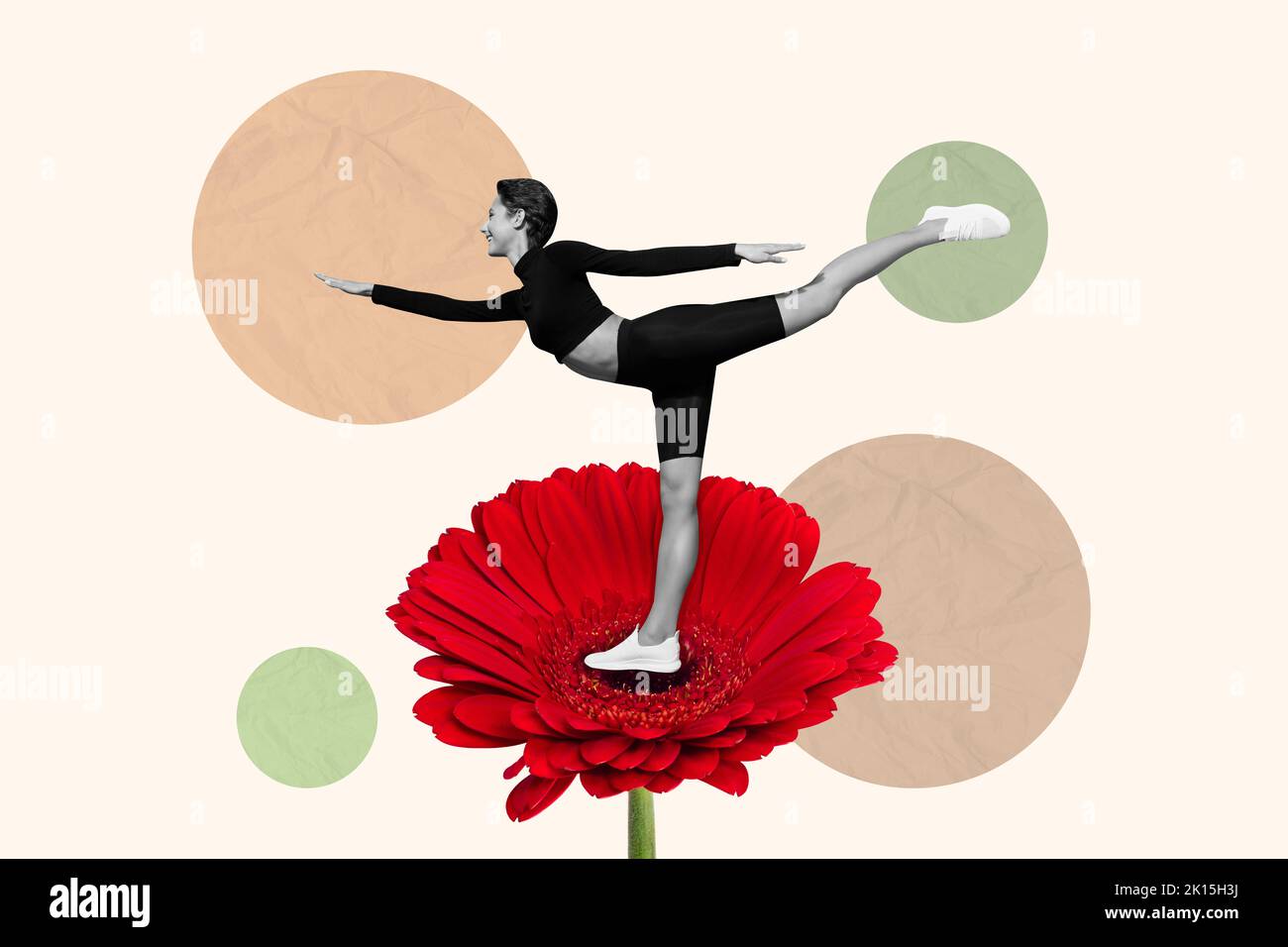 3d retro abstract creative artwork template collage of flexible gymnast girl standing keep balance red gerbera flower drawing background Stock Photo