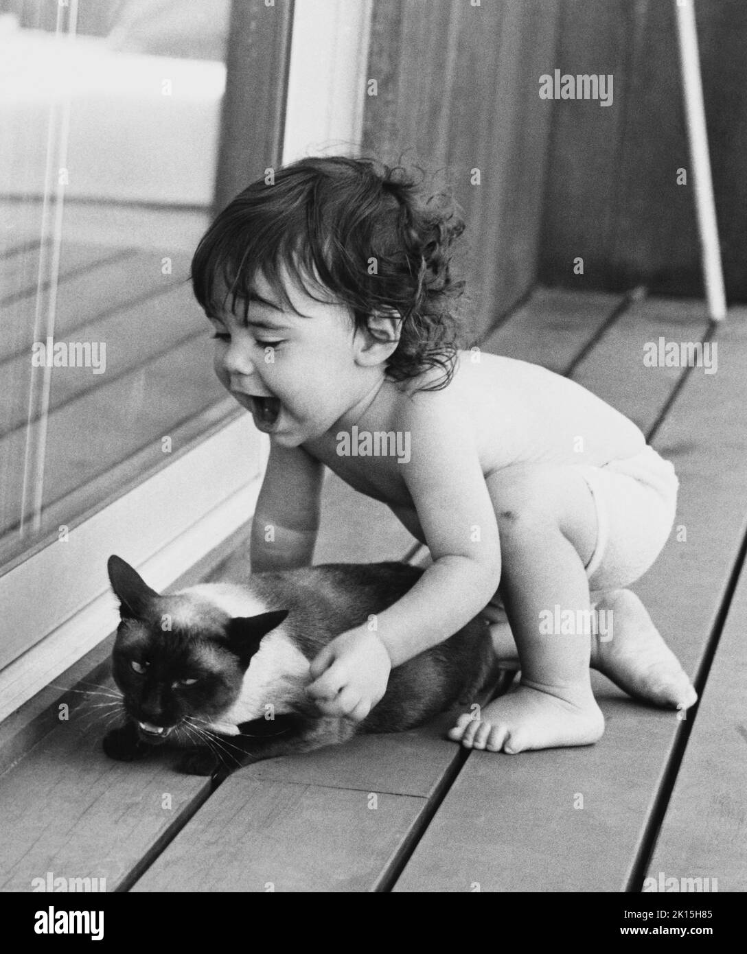Baby boy prepares to attack his cat. Stock Photo