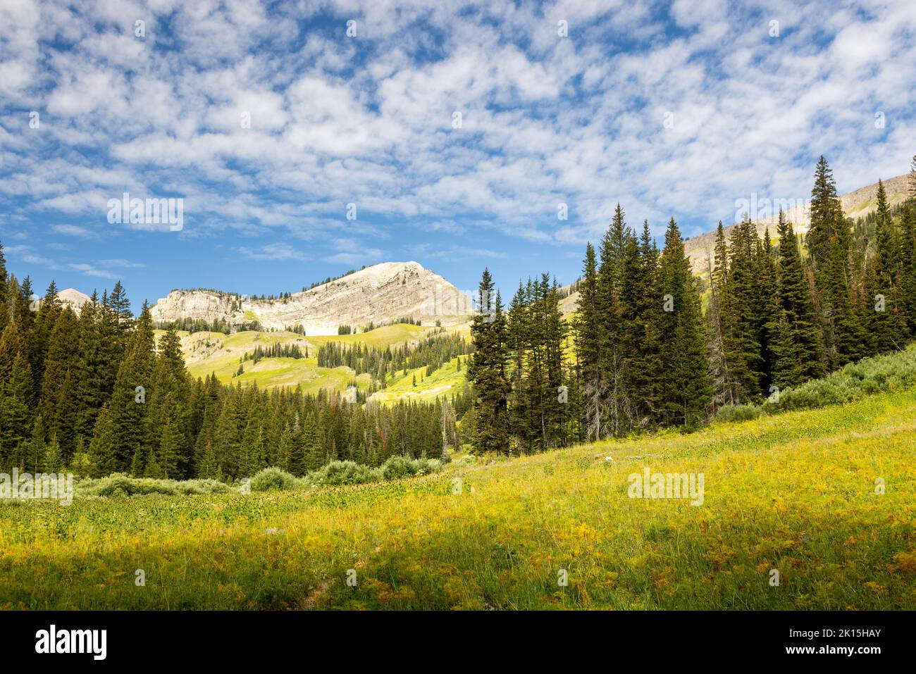 Housetop Mountain rising above the upper elevations of Granite Canyon. Grand Teton National Park