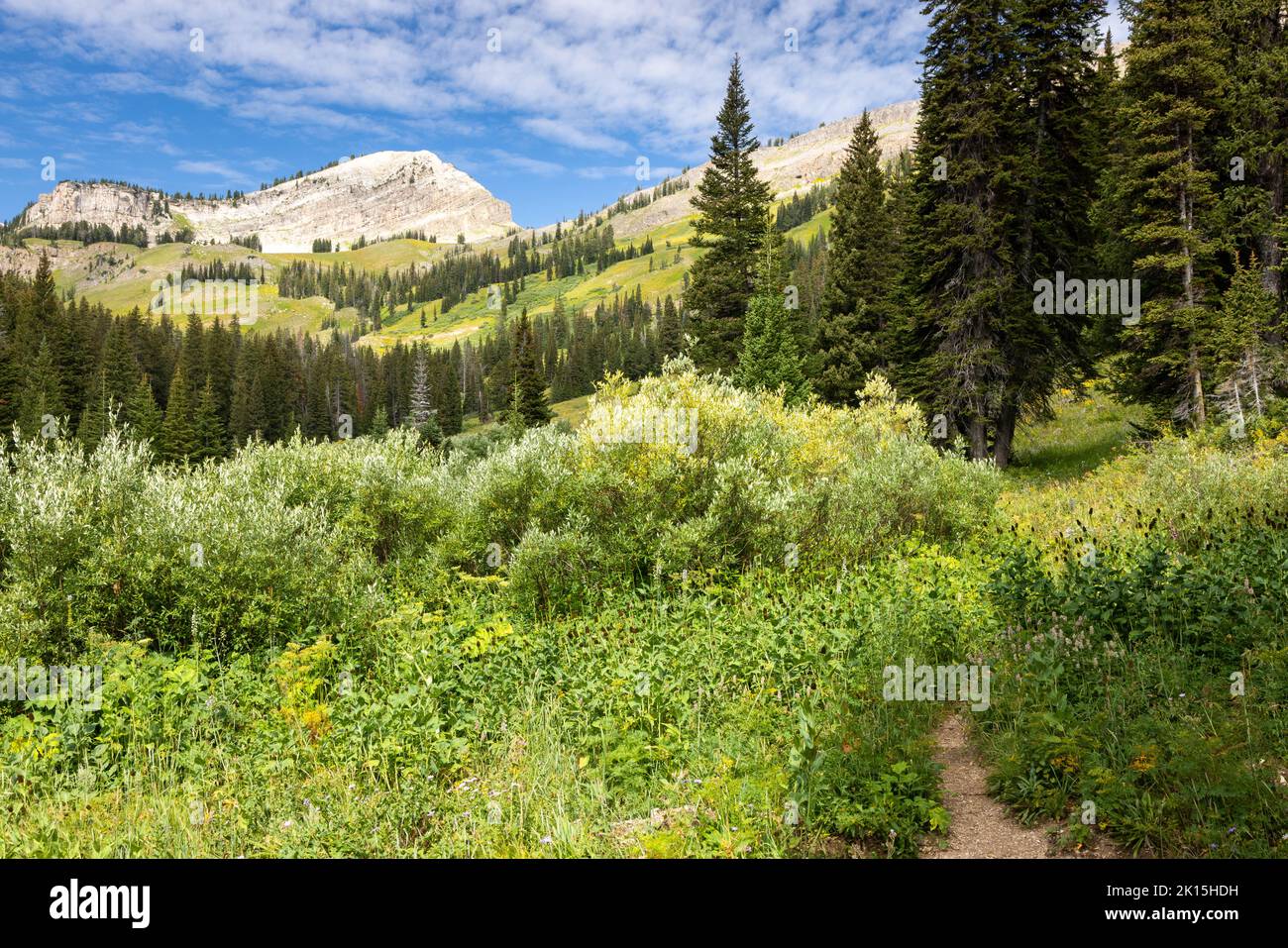Granite canyon hike online