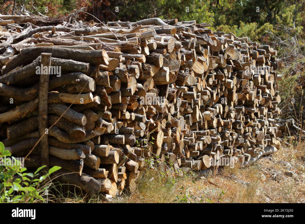 a stacked pile of sawn logs in  Rebac Stock Photo